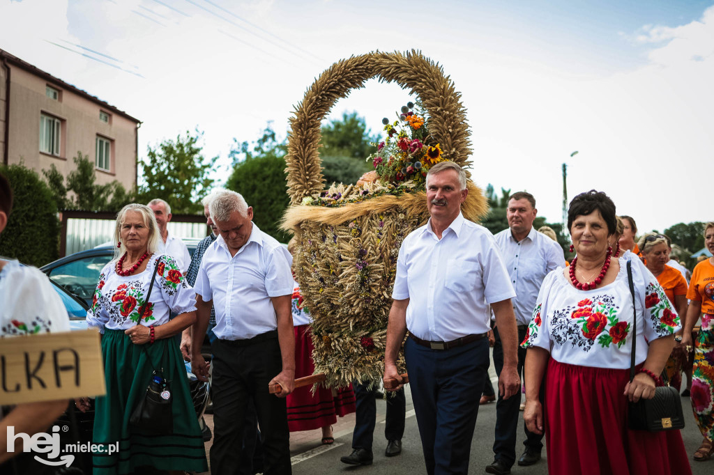 Dożynki gminy Radomyśl Wielki