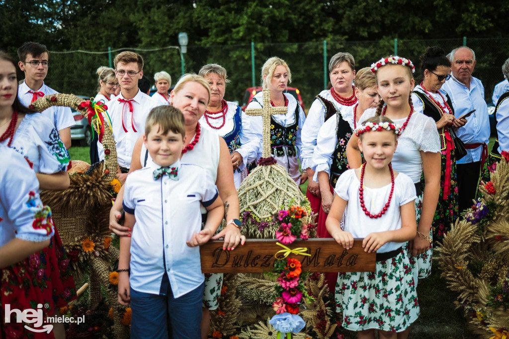 Dożynki gminy Radomyśl Wielki