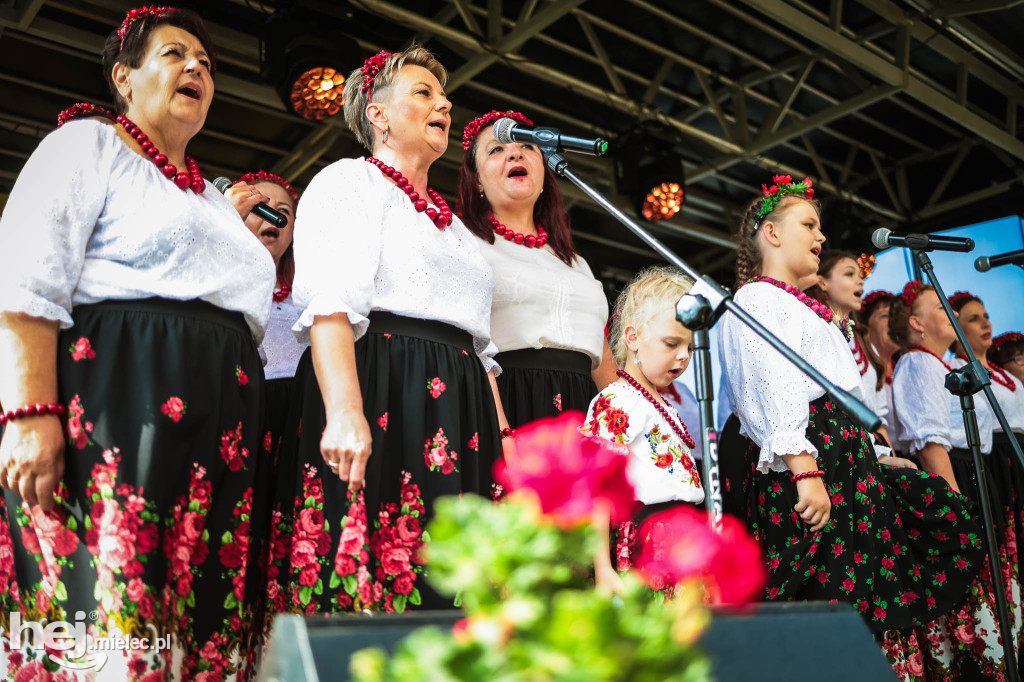 Dożynki gminy Radomyśl Wielki