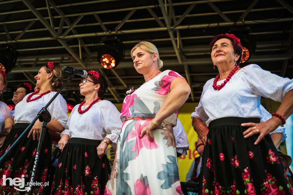 Dożynki gminy Radomyśl Wielki