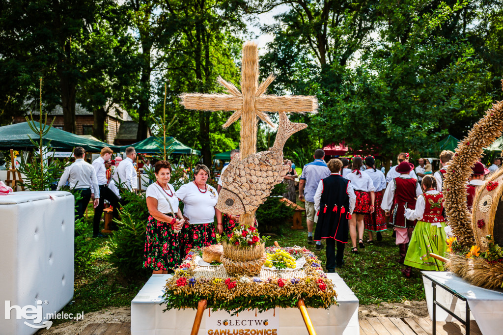 Dożynki Gminy Gawłuszowice