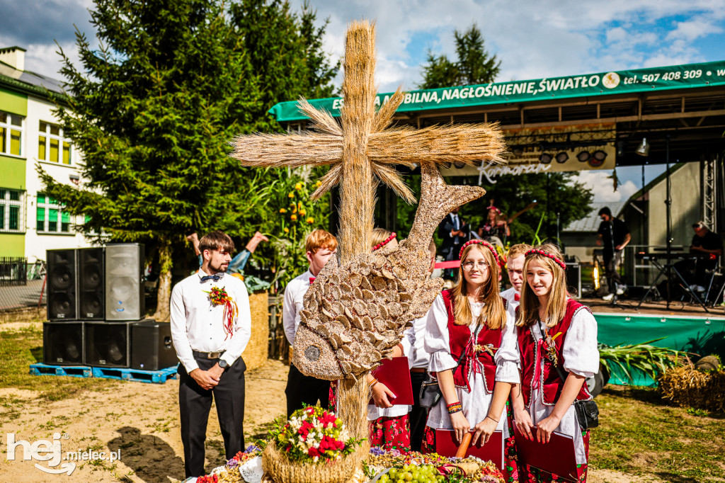 Dożynki Gminy Gawłuszowice