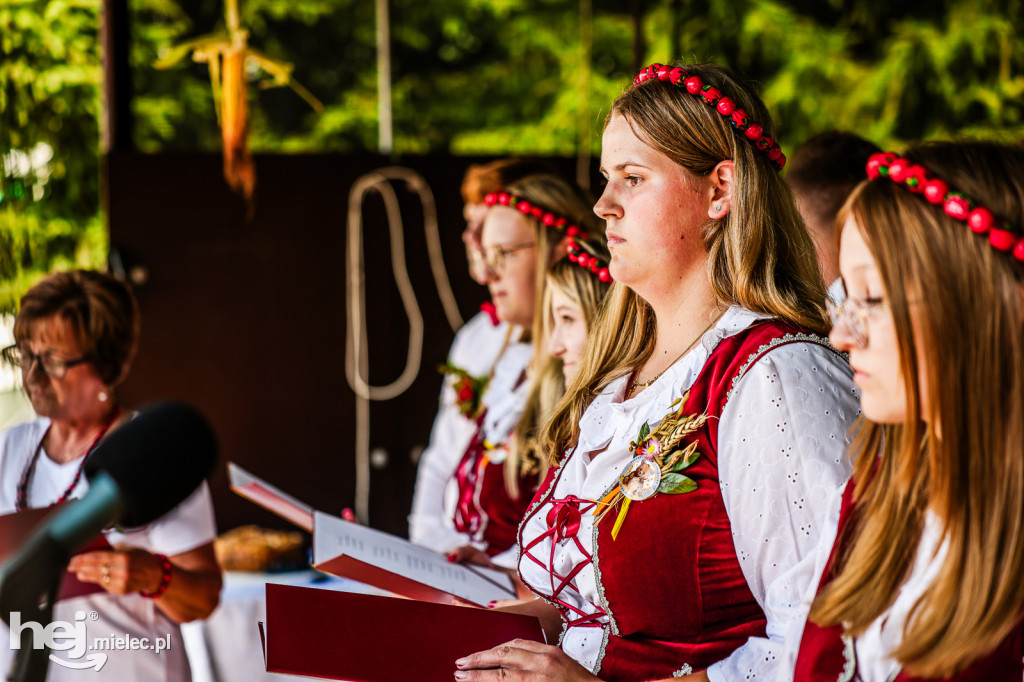 Dożynki Gminy Gawłuszowice