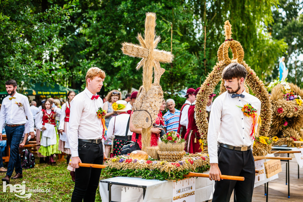 Dożynki Gminy Gawłuszowice