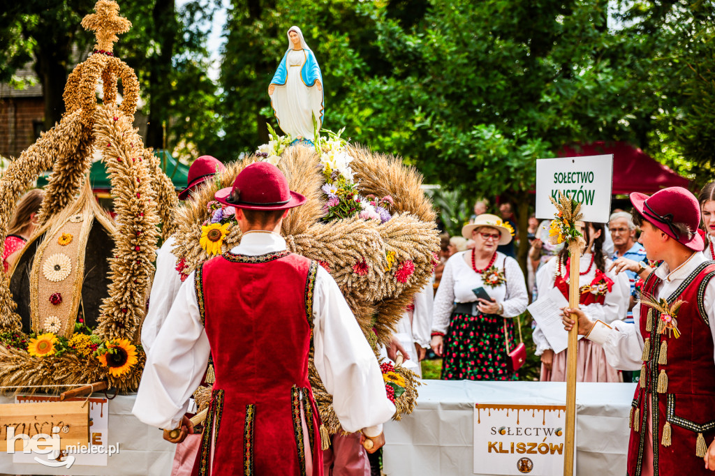 Dożynki Gminy Gawłuszowice