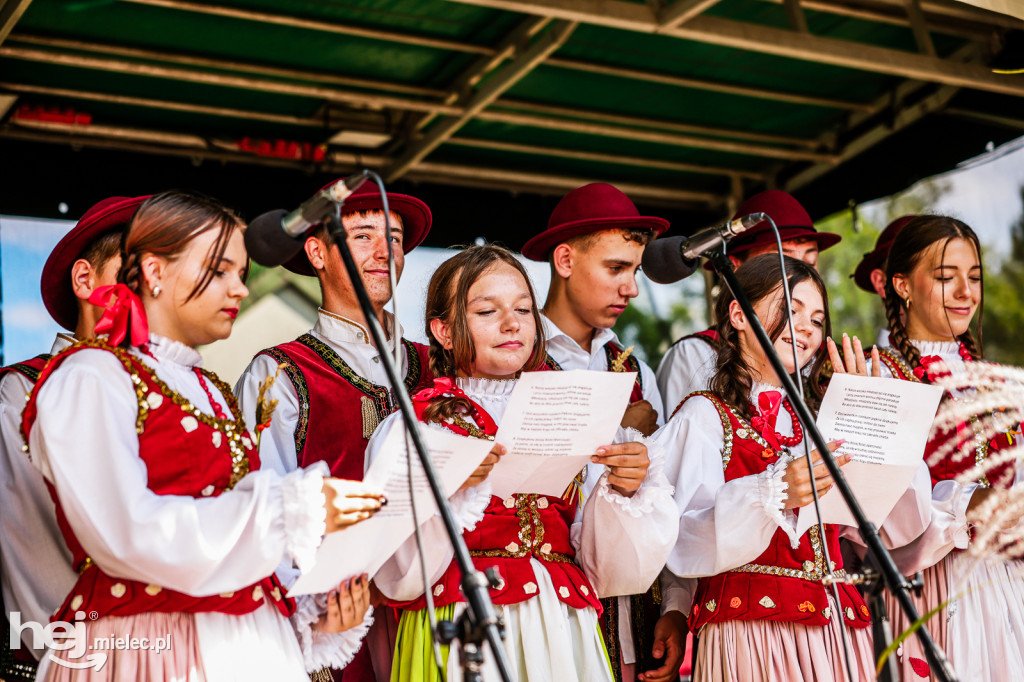 Dożynki Gminy Gawłuszowice