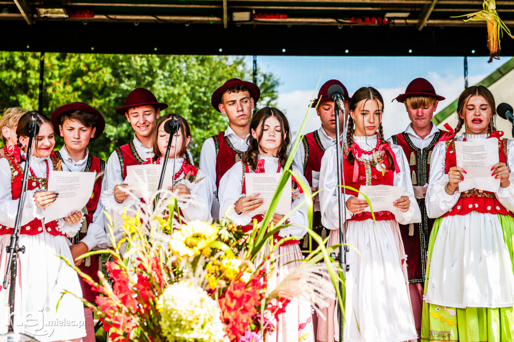 Dożynki Gminy Gawłuszowice