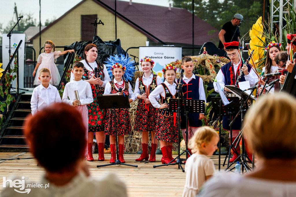 Dożynki gminy Wadowice Górne w Woli Wadowskiej