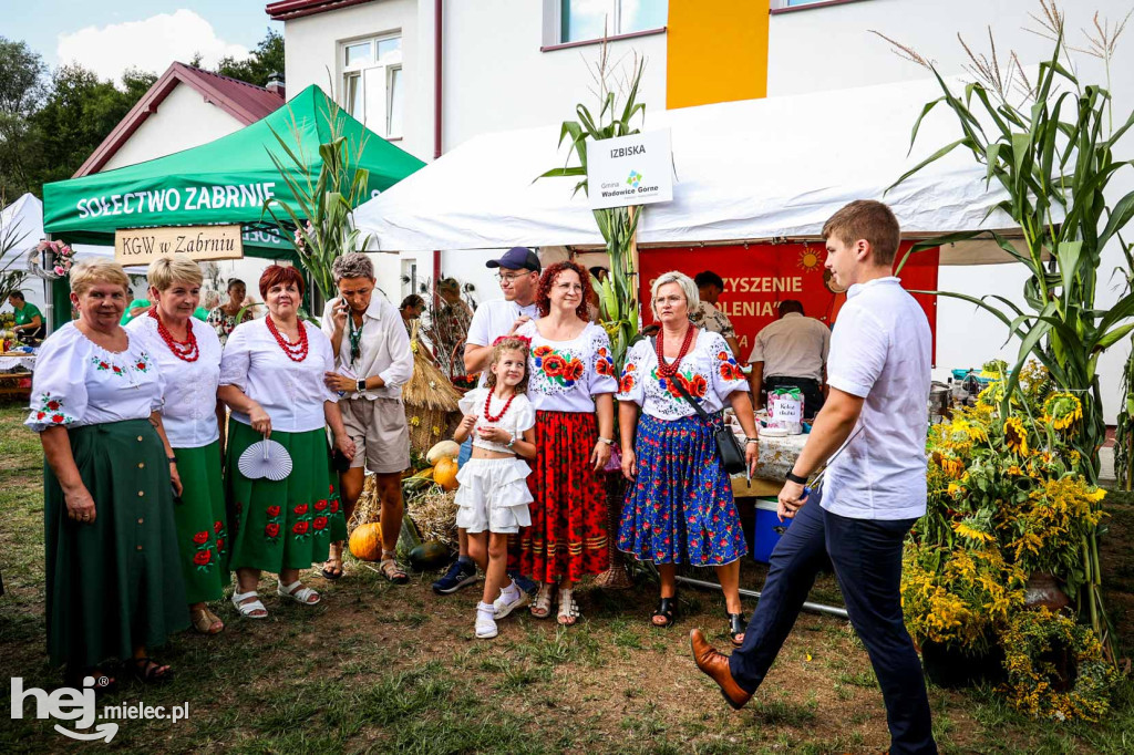 Dożynki gminy Wadowice Górne w Woli Wadowskiej