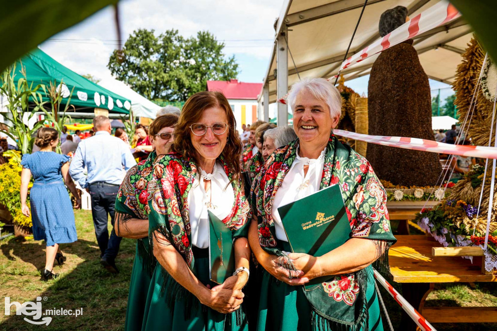 Dożynki gminy Wadowice Górne w Woli Wadowskiej