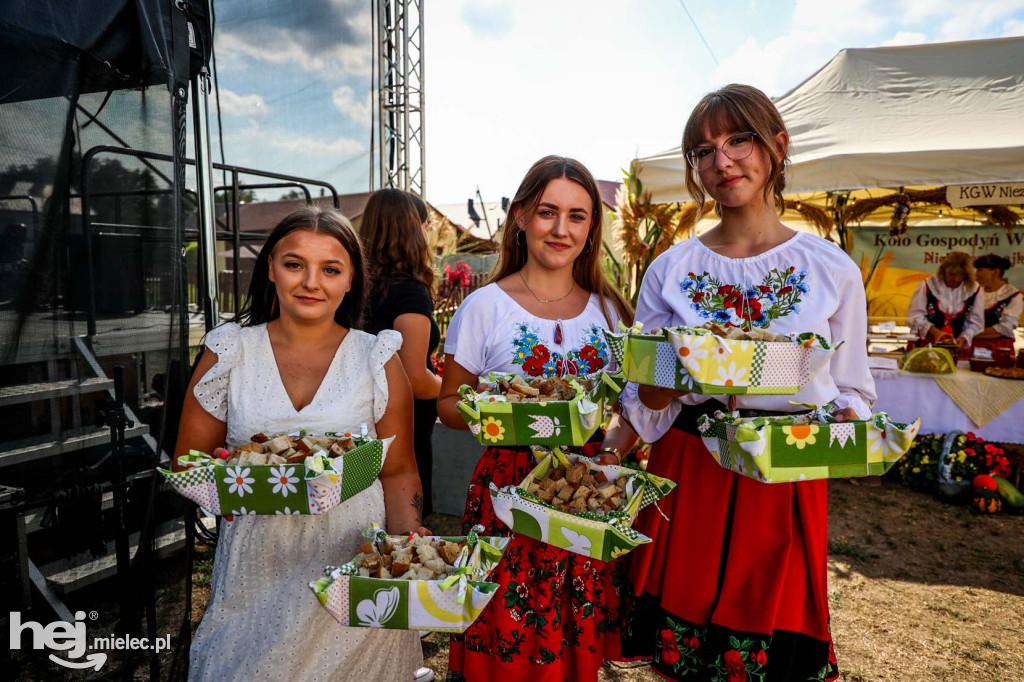 Dożynki gminy Wadowice Górne w Woli Wadowskiej