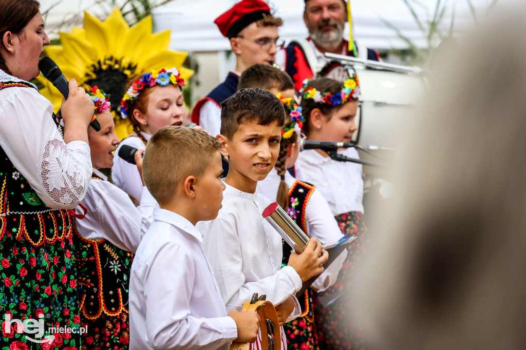 Dożynki gminy Wadowice Górne w Woli Wadowskiej