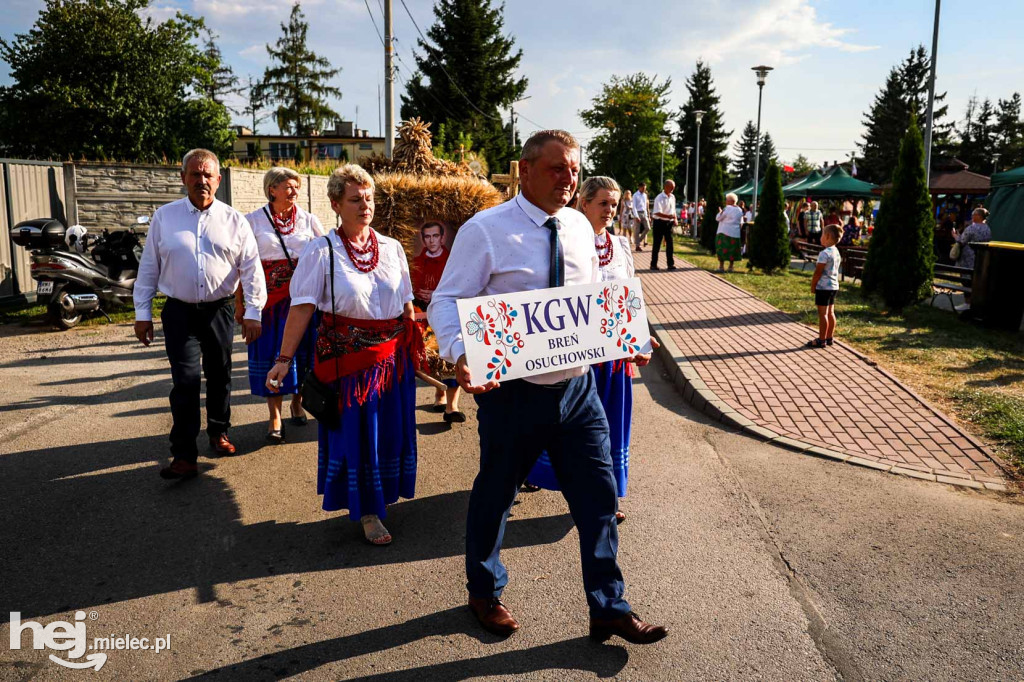 Dożynki Gminy Czermin 2024