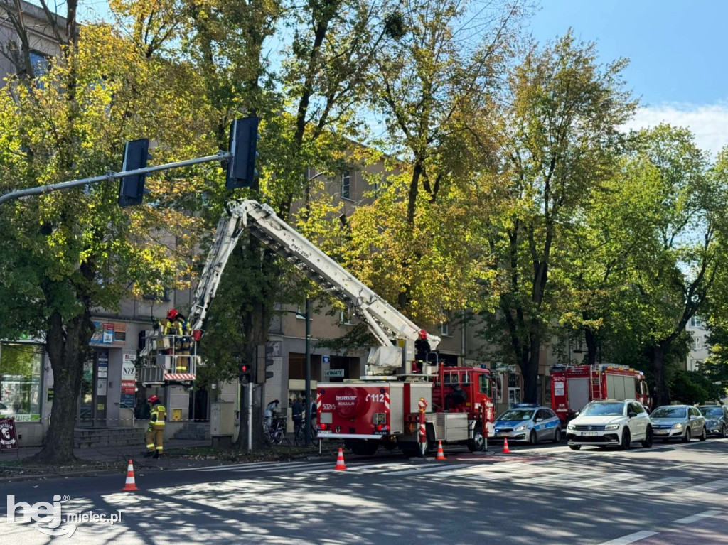 Konar spadł na pieszego przy al. Niepodległości