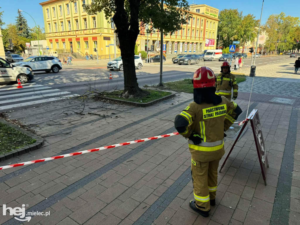 Konar spadł na pieszego przy al. Niepodległości