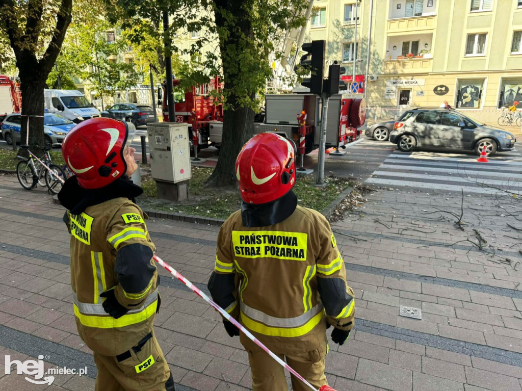 Konar spadł na pieszego przy al. Niepodległości