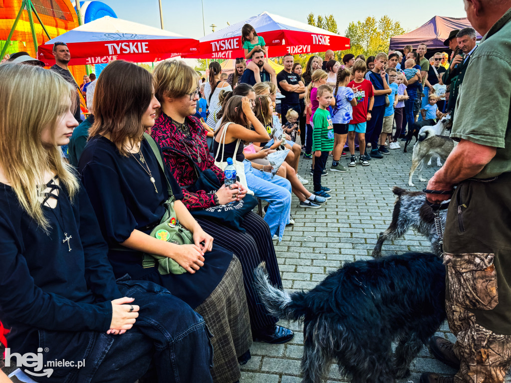 Piknik Cysterski w Podleszanach