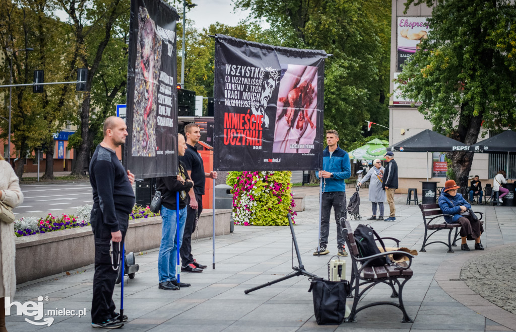 Publiczny różaniec przeciw aborcji