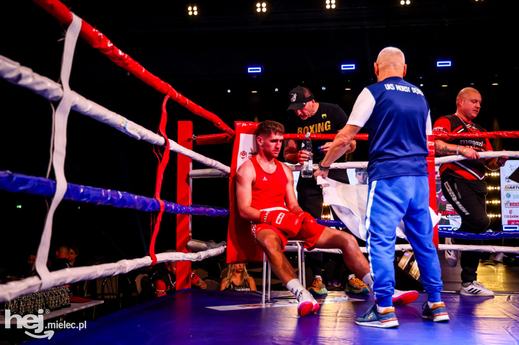 Gala bokserska Magazimm Boxing Night