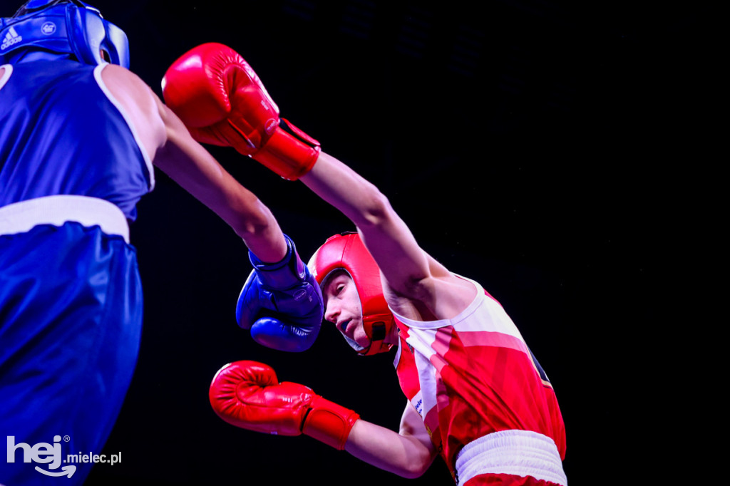 Gala bokserska Magazimm Boxing Night