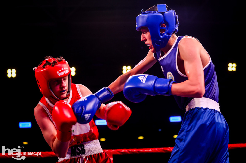 Gala bokserska Magazimm Boxing Night