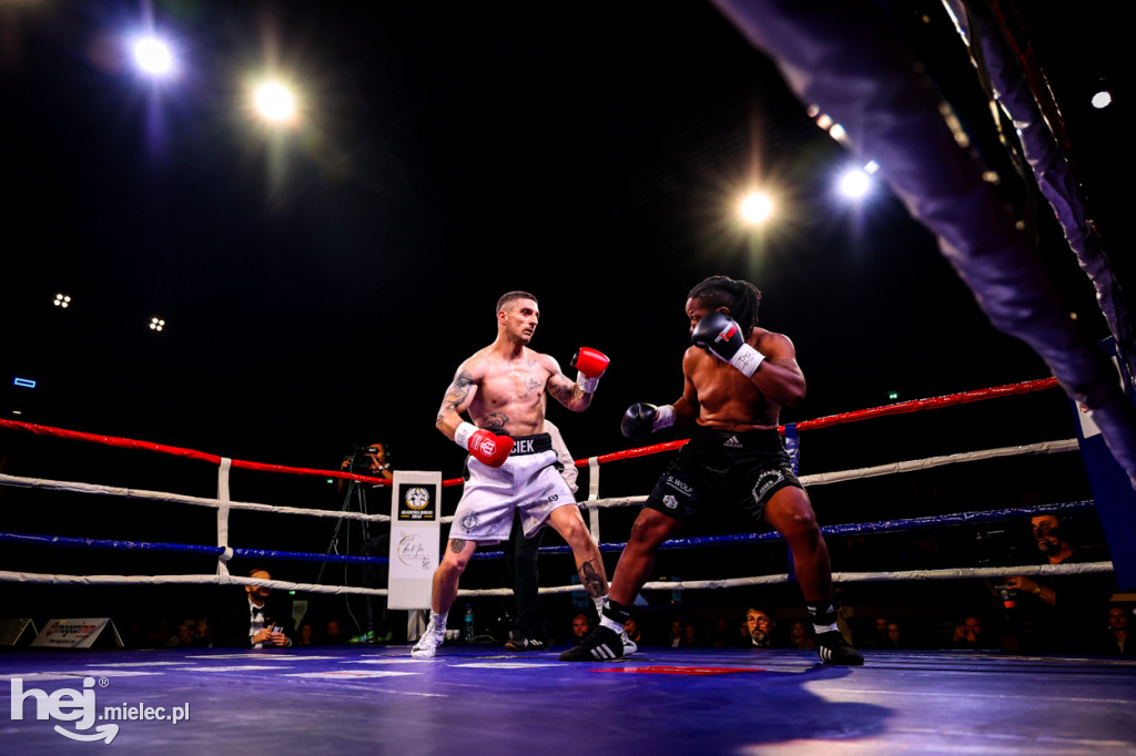 Gala bokserska Magazimm Boxing Night