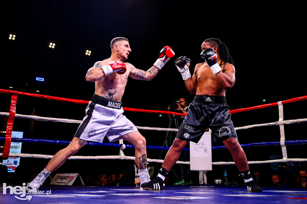 Gala bokserska Magazimm Boxing Night