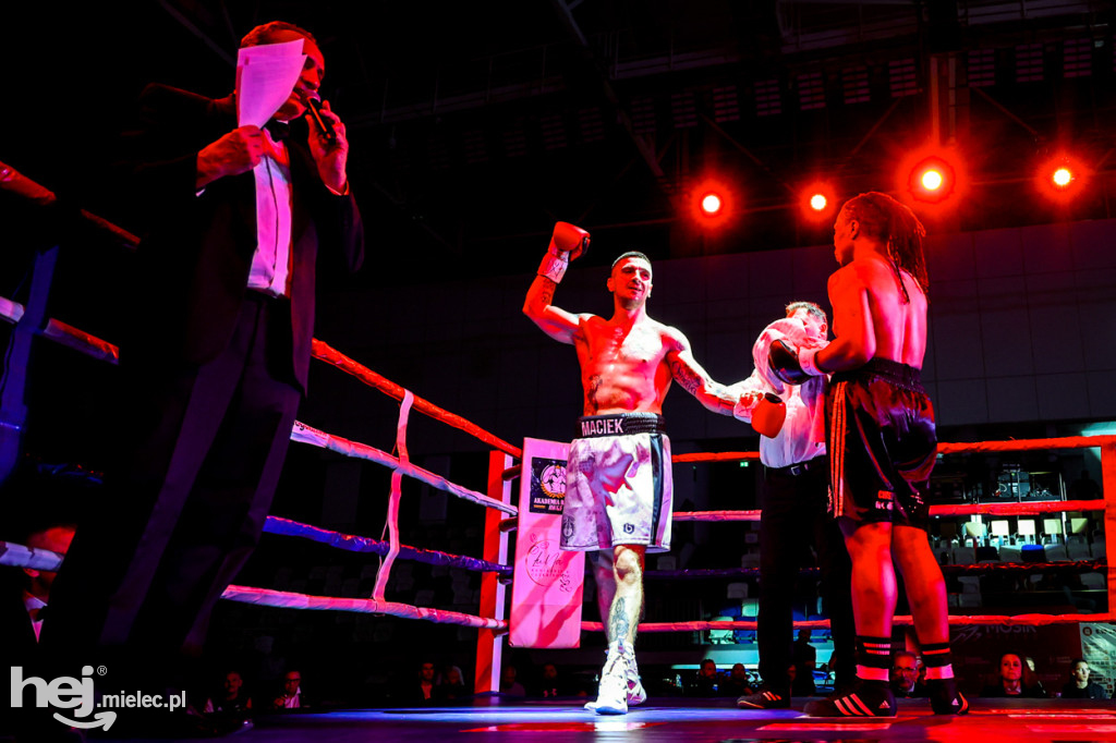 Gala bokserska Magazimm Boxing Night