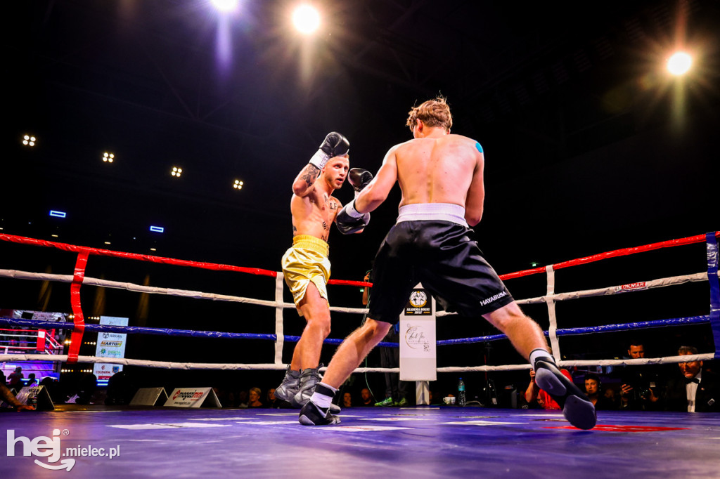 Gala bokserska Magazimm Boxing Night