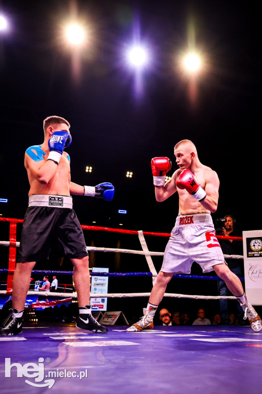 Gala bokserska Magazimm Boxing Night