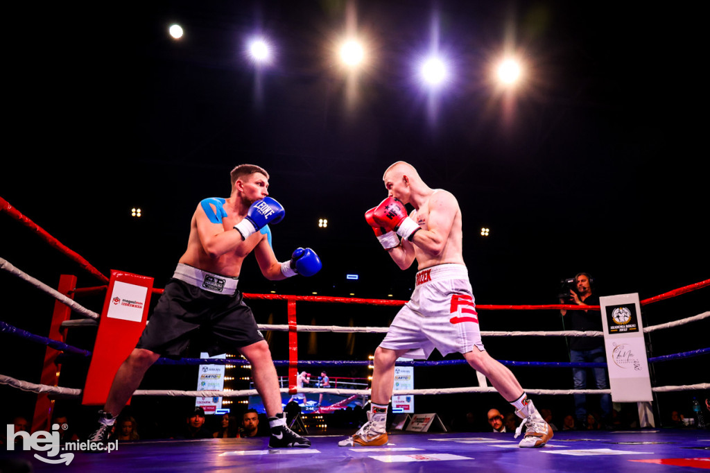 Gala bokserska Magazimm Boxing Night