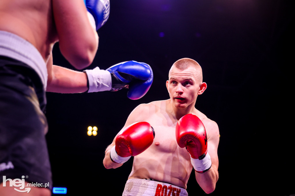 Gala bokserska Magazimm Boxing Night