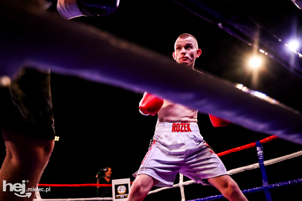 Gala bokserska Magazimm Boxing Night