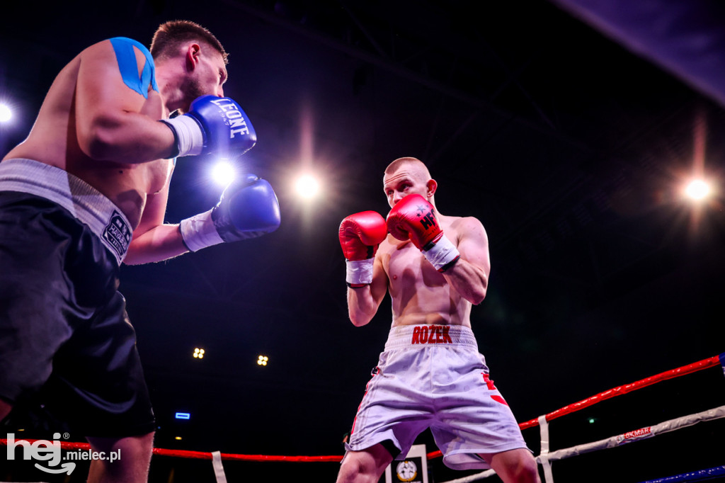 Gala bokserska Magazimm Boxing Night