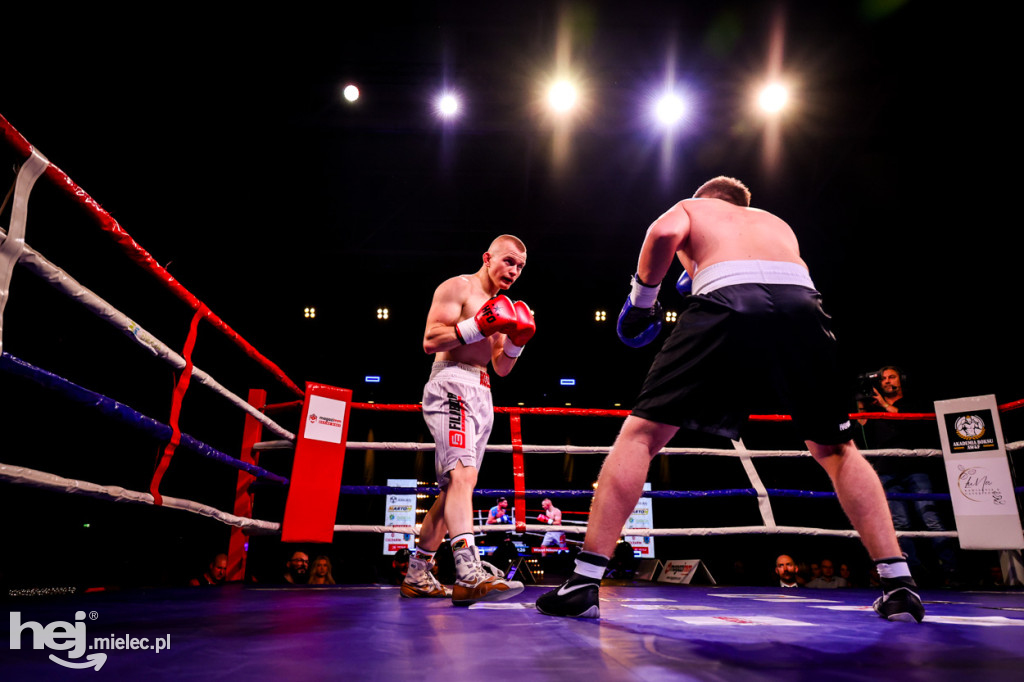 Gala bokserska Magazimm Boxing Night