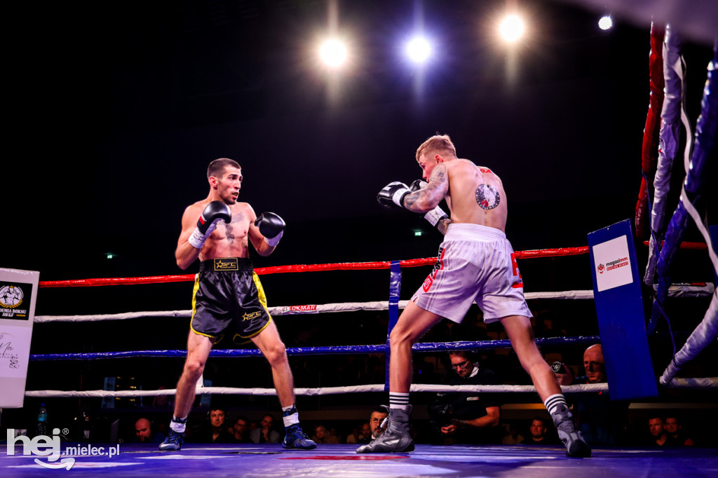 Gala bokserska Magazimm Boxing Night