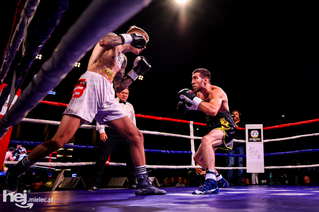 Gala bokserska Magazimm Boxing Night