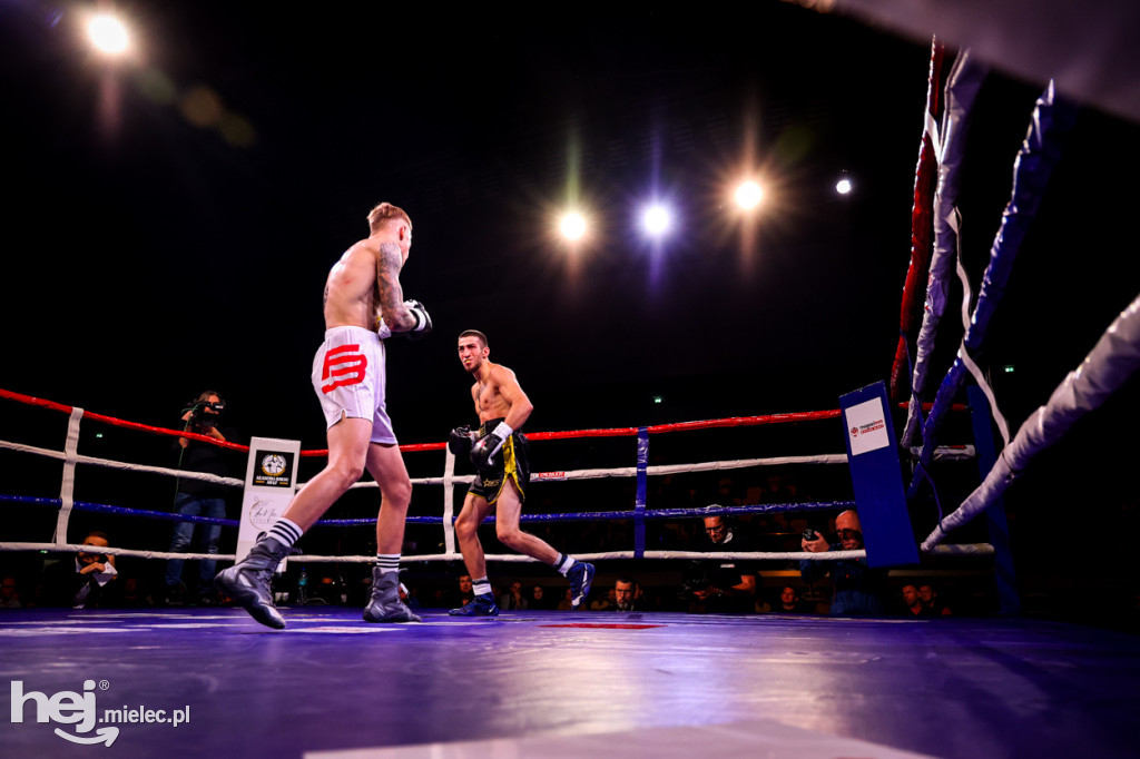 Gala bokserska Magazimm Boxing Night