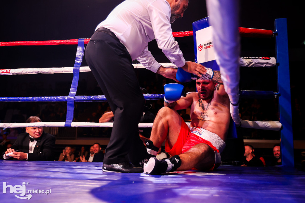 Gala bokserska Magazimm Boxing Night