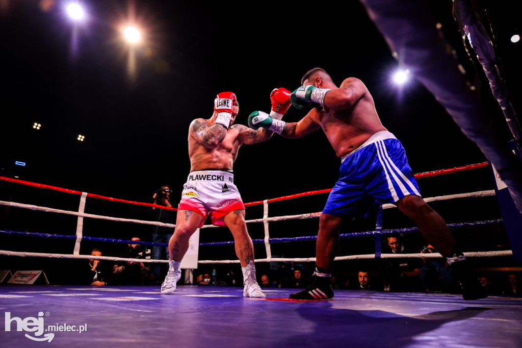 Gala bokserska Magazimm Boxing Night