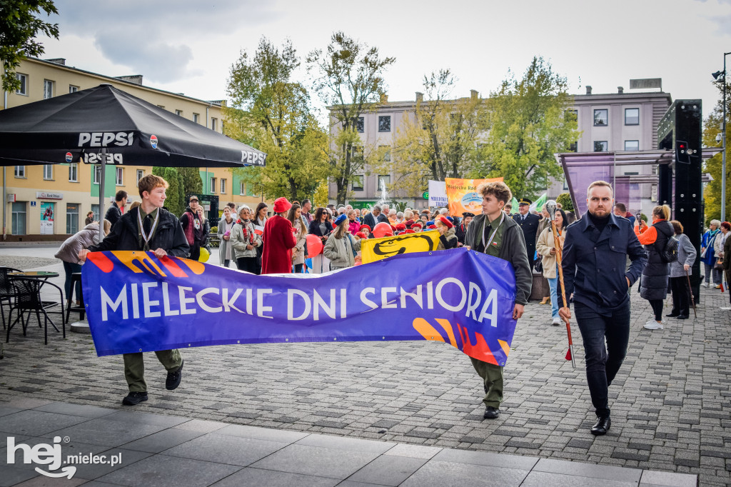 VII Dni Seniora - barwny korowód