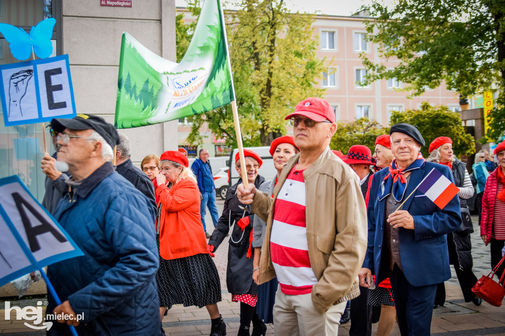 VII Dni Seniora - barwny korowód