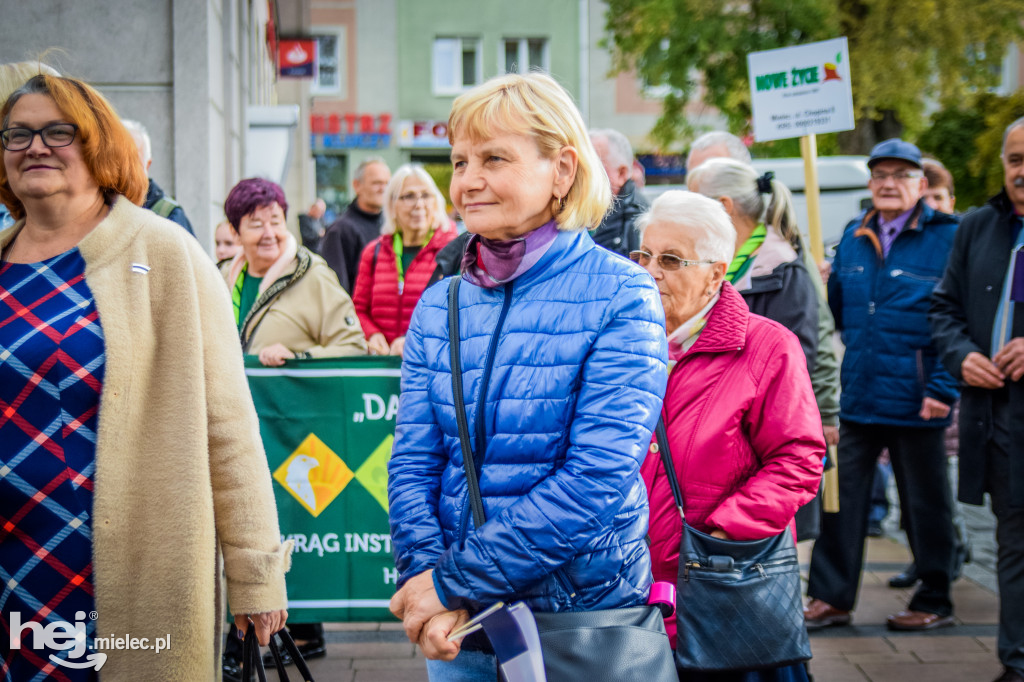 VII Dni Seniora - barwny korowód