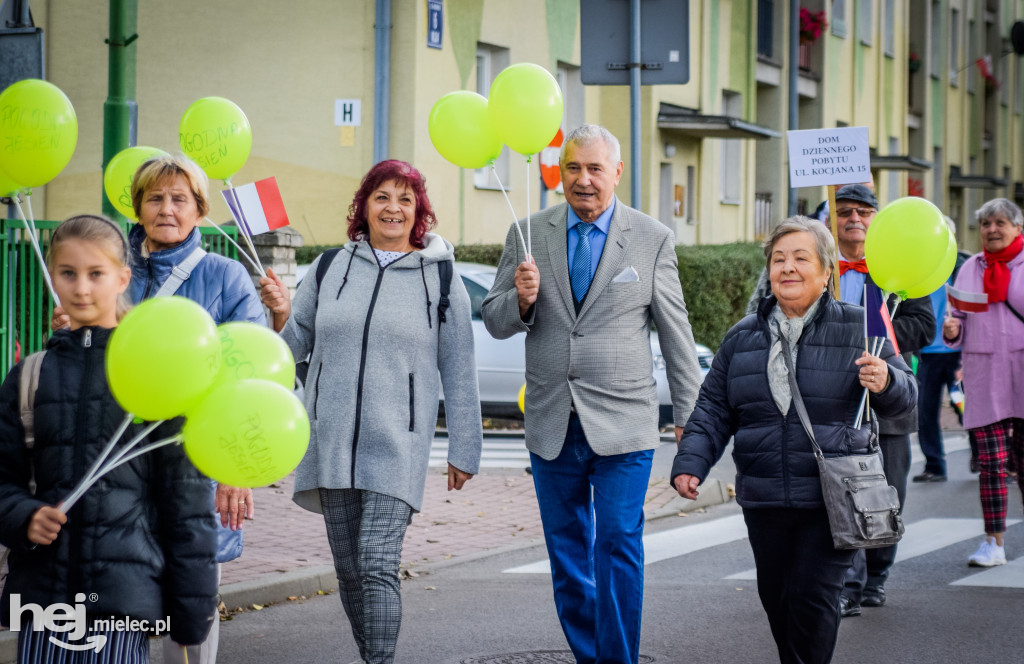 VII Dni Seniora - barwny korowód