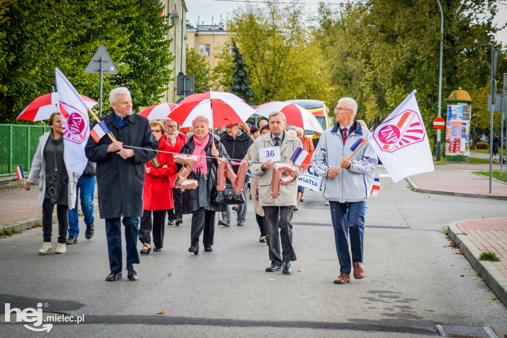 VII Dni Seniora - barwny korowód