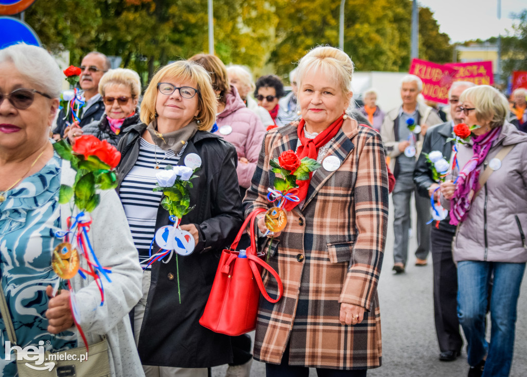 VII Dni Seniora - barwny korowód