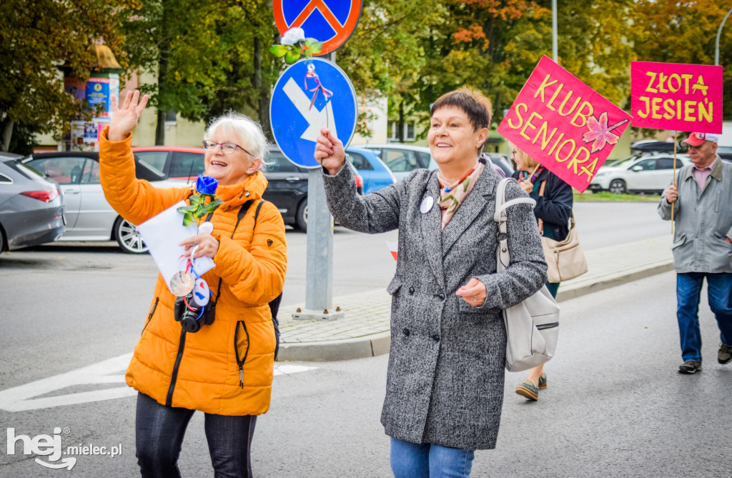 VII Dni Seniora - barwny korowód