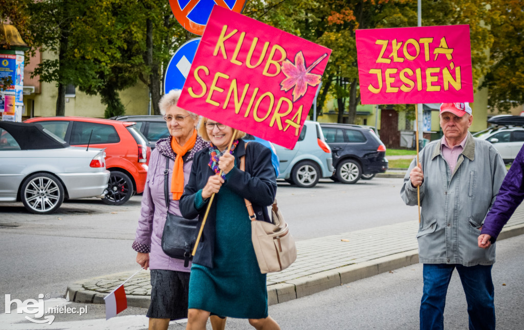 VII Dni Seniora - barwny korowód