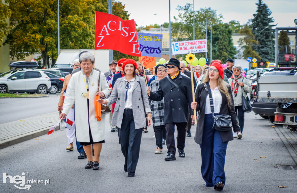 VII Dni Seniora - barwny korowód