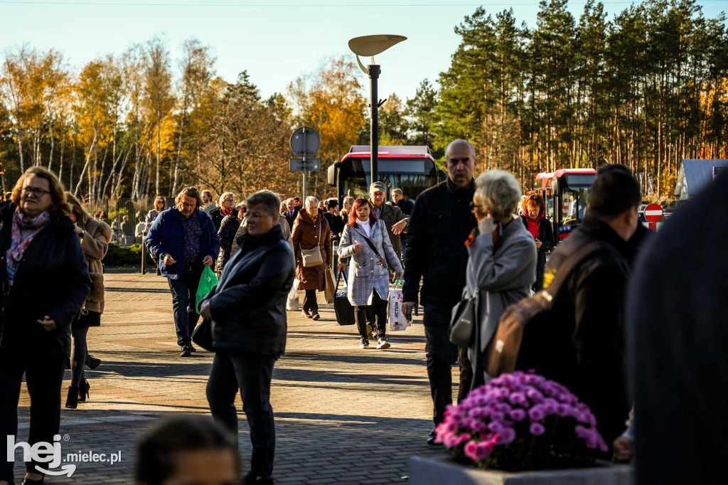 Wszystkich Świętych 2024: Cmentarz Komunalny